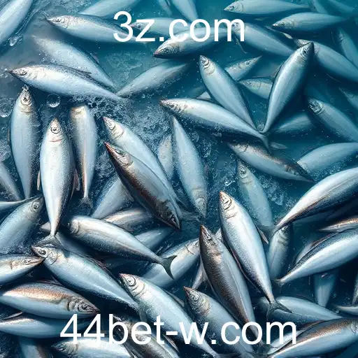 O Mundo Fascinante da Pesca